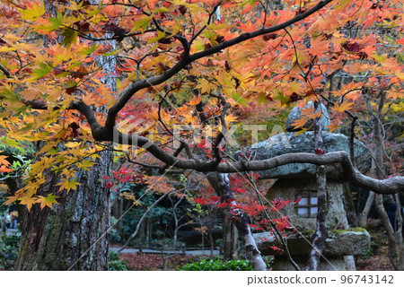 Shokoji寺 Shokoji寺 96743142