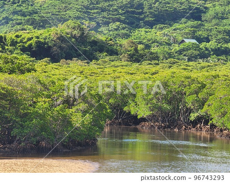 Ishigaki island, view of the mouth of the Fukido River, Okinawa Ishigaki island, view of the mouth of the Fukido River, Okinawa 96743293