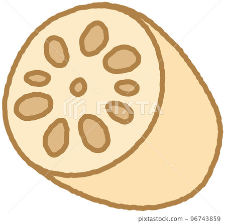 Lotus root 96743859
