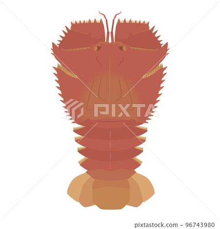 粉絲蝦圖 粉絲蝦圖 96743980