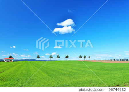 北海道藍天童話小山 96744682