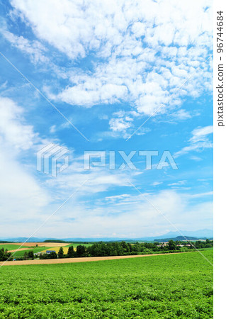 Hokkaido summer blue sky and Biei landscape 96744684