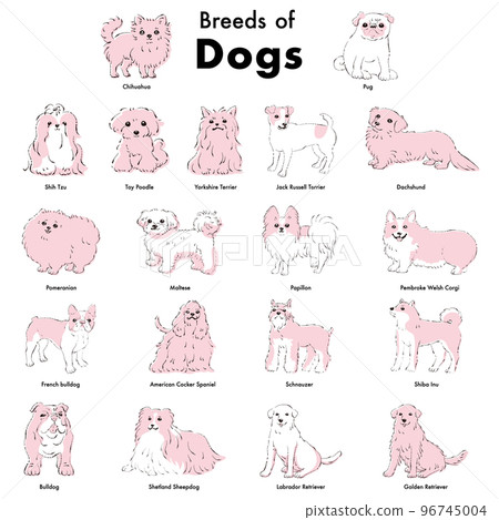 簡單可愛的流行犬種手繪線描矢量插圖集 96745004