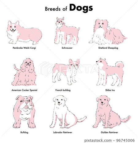 簡單可愛的流行中大型犬種手繪線描矢量圖集 96745006