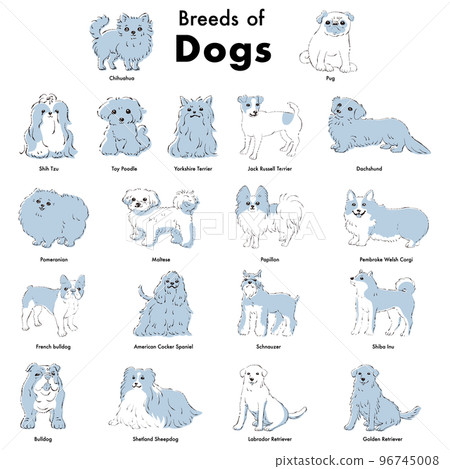 Simple and cute popular dog breed hand-drawn line drawing vector illustration set 96745008