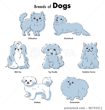 Simple and cute popular small dog breed hand-drawn line drawing vector illustration set 96745011