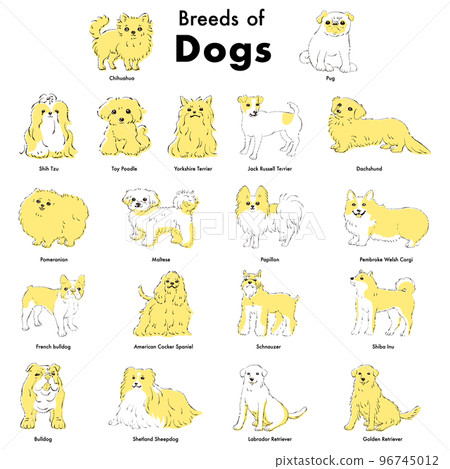 Simple and cute popular dog breed hand-drawn line drawing vector illustration set 96745012