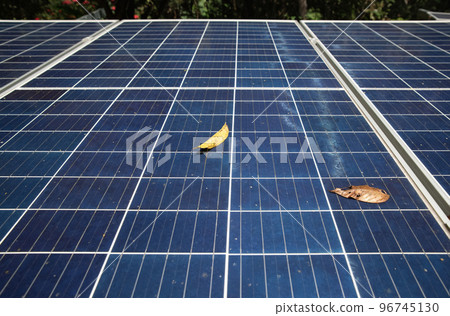 Dry leaves fall on Solar PV Panel Surface. 96745130