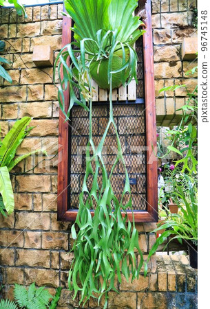 Tropical Dream Center (Okinawa Prefecture) Tropical Dream Center (Okinawa Prefecture) 96745148