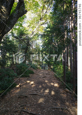 高尾山稻荷山路線的登山步道 96745746