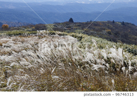 Susuki Ashinoko Skyline Yamabushi Pass November 96746313