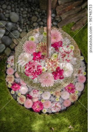 花水 花水 96746753
