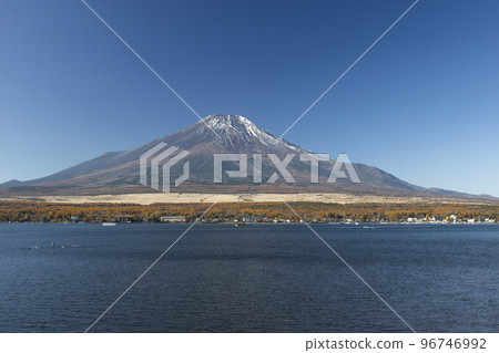 深秋的富士山，山中湖長池親水公園，11 月 96746992