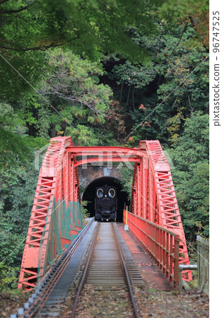 秋季礦業觀光列車（回程）在 Minetopia Besshi 的 Uchiyoke Tetsubashi 橋上 96747525