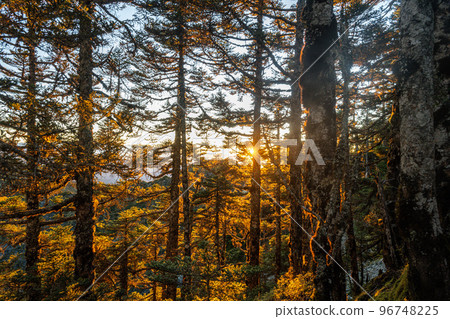 South Hengguan Mountain South Hengguan Mountain 96748225