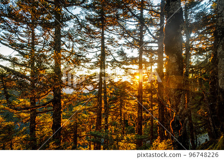 南橫關山 南橫關山 96748226