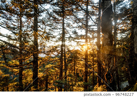 South Hengguan Mountain 96748227