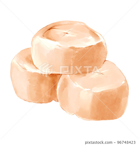 扇貝內收肌手繪插圖 96748423