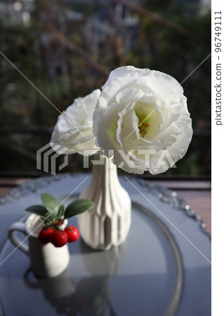 凸窗白色土耳其風鈴草和切克莓 96749111