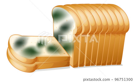 Inedible bread with mould 96751300