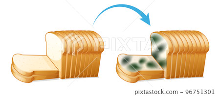 Inedible bread with mould Inedible bread with mould 96751301