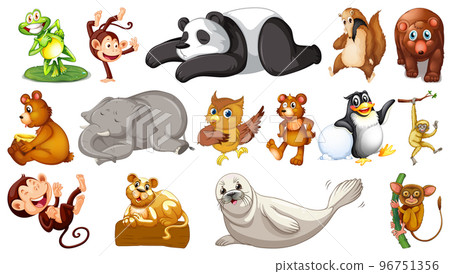 Wild animals on white background 96751356