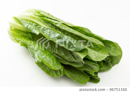 romaine lettuce white background 96751388