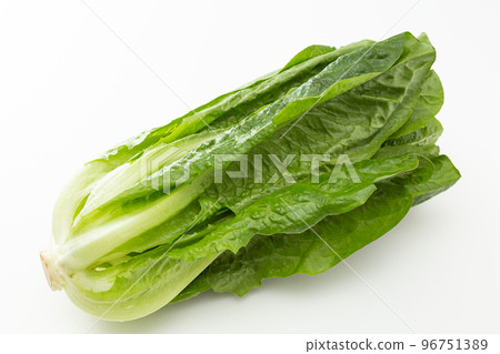 生菜白色背景 96751389