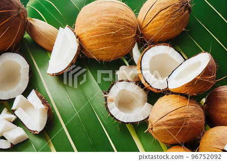 Light brown cracked coconut fruit with white flesh against background of large palm leaves 96752092