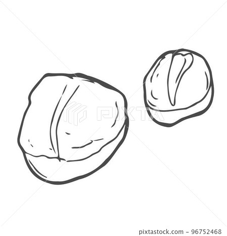 Scallop fillet cooked or raw in monochrome sketch style, vector illustration isolated on white background. Hand drawn retro seafood clam for restaurant or cafe menu design. 96752468