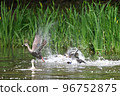 Flight of cargamo 96752875