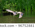Flight of cargamo 96752881