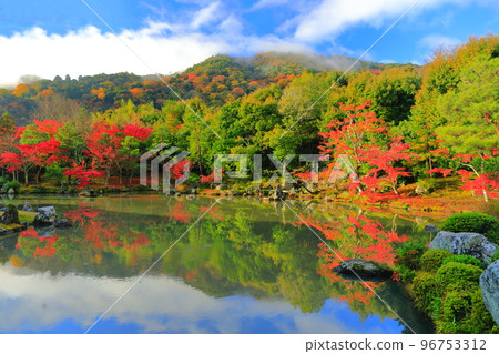 [Kyoto Prefecture] Symmetrical autumn leaves of Arashiyama Tenryu-ji Temple (Sogenike Garden) 96753312