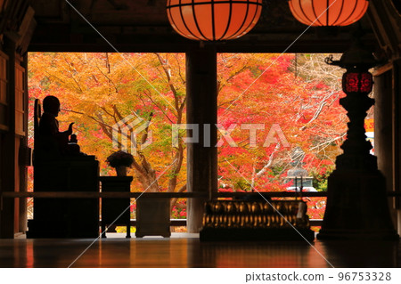 [Nara Prefecture] Autumn leaves seen from Hasedera Main Hall (Reido) 96753328