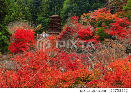 [Nara Prefecture] The three-storied pagoda and autumn leaves seen from the stage of Hasedera Main Hall 96753332