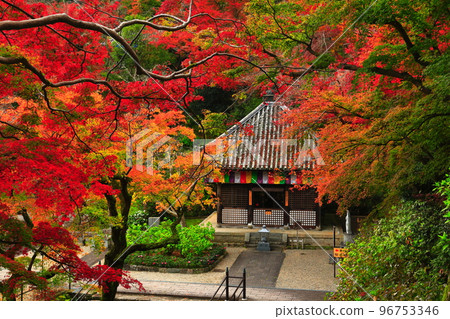 [Nara Prefecture] Hasedera Kobo Daishi Miedo and Autumn Leaves 96753346