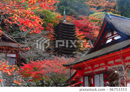 [奈良縣]談山神社的秋葉（十三層寶塔和神社） 96753353