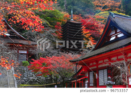 [Nara Prefecture] Autumn leaves of Tanzan Shrine (thirteen-storied pagoda and shrine) 96753357