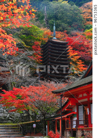 [奈良縣]談山神社的秋葉（十三層寶塔和神社） 96753365