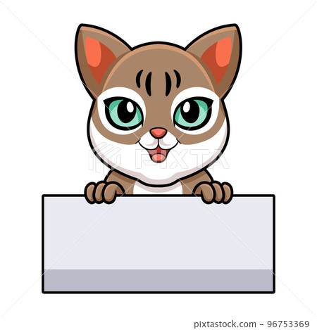 Cute singapura cat cartoon holding blank sign 96753369