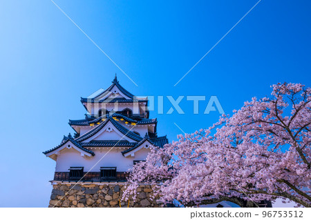 Hikone Castle in spring Hikone Castle in spring 96753512