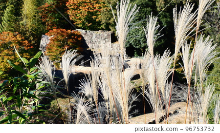 Machu Picchu in Gifu Naegi Castle Ruins Oyagura Ruins 96753732