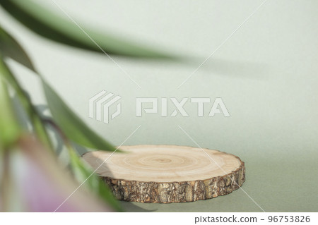 Podium and plant shadow concept for product shooting Podium and plant shadow concept for product shooting 96753826