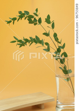 Podium and plant concept for product shooting 96753849