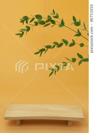 Podium and plant concept for product shooting 96753850
