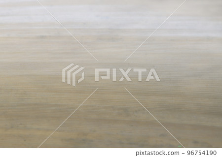 Background material of the skin of the type of bamboo, Houraichiku (Horai bamboo) 96754190