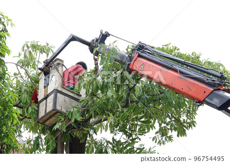 Cut the tree 4 96754495