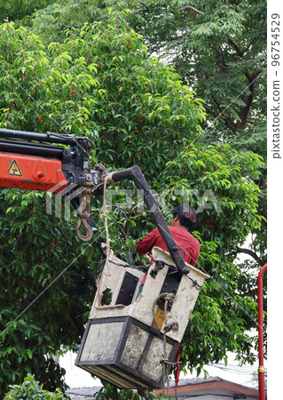 Cut the tree 6 Cut the tree 6 96754529