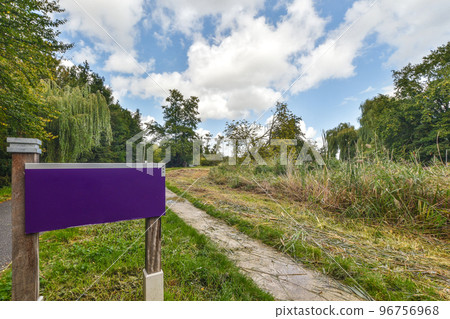Panorama view of brick houses from an empty sidewalk street with trees 96756968
