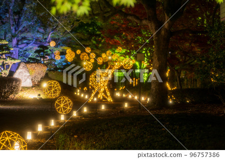 秋夜熊本城與秋葉和細川監獄燈火通明和熊本城城堡節 96757386